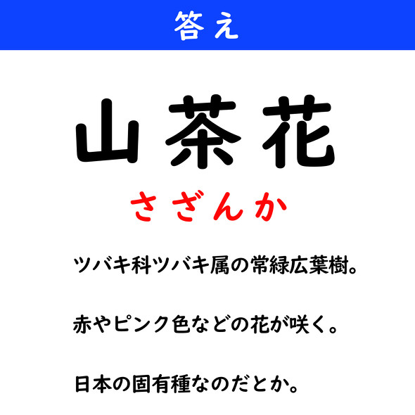 漢字クイズ　難読漢字　山茶花
