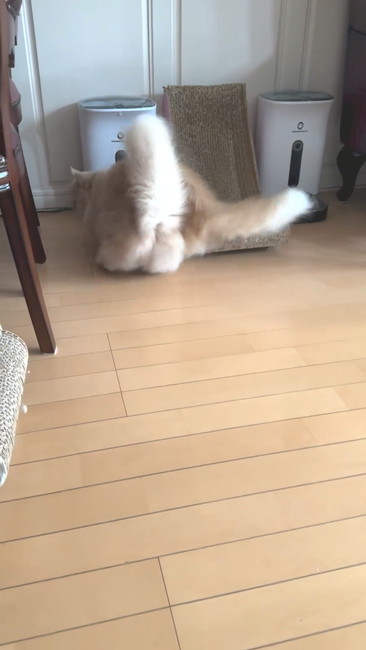 割り込み成功