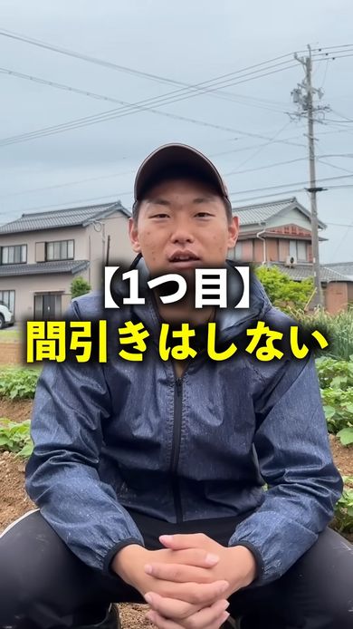 オクラの栽培初期には間引かない