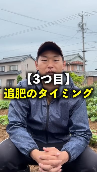 オクラの栽培初期では追肥のタイミングも重要