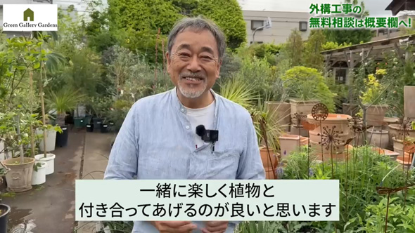 プロ おすすめ 夏 酷暑 耐える 負けない 強い 宿根草 植物 ガーデン 庭 植栽