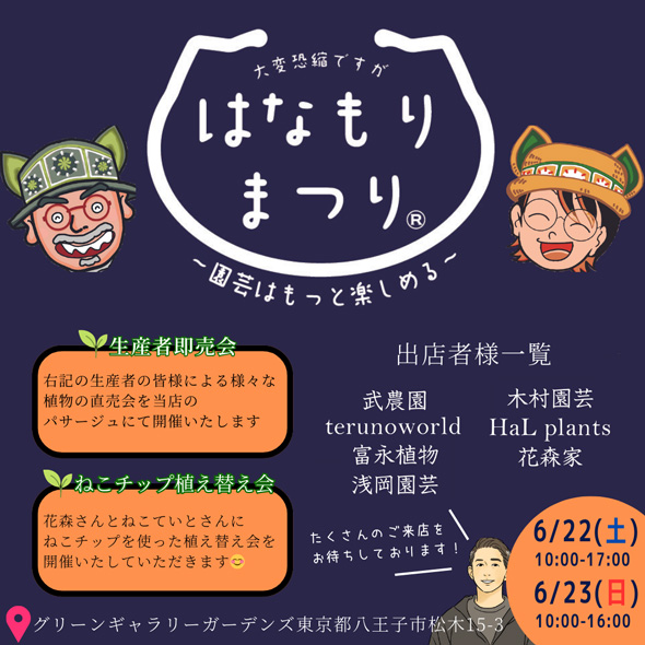 プロ おすすめ 夏 酷暑 耐える 負けない 強い 宿根草 植物 ガーデン 庭 植栽