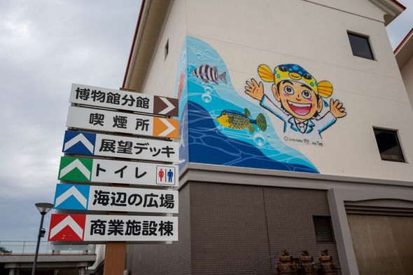 “渚の駅”たてやま 渚の博物館（館山市立博物館分館）