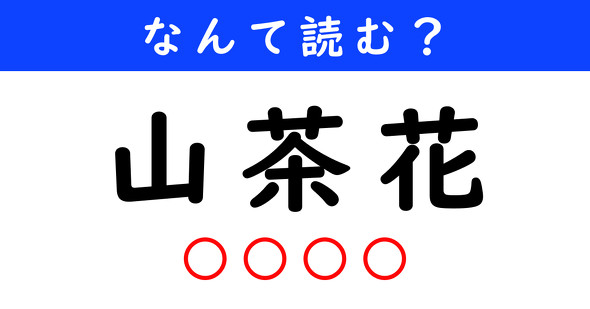 漢字クイズ　難読漢字　山茶花