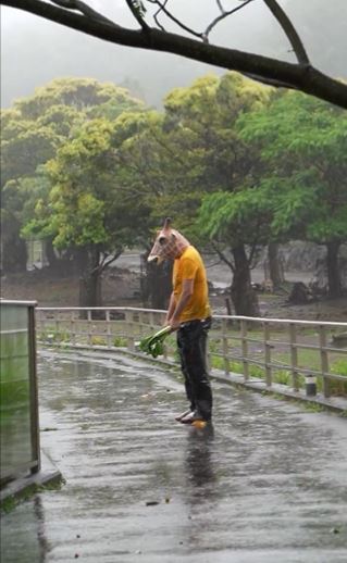 世界キリンの日のイベント