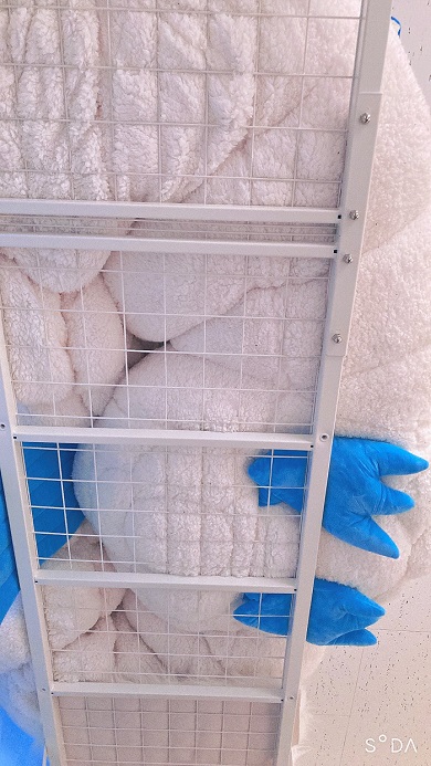 チルタリスかわいい03