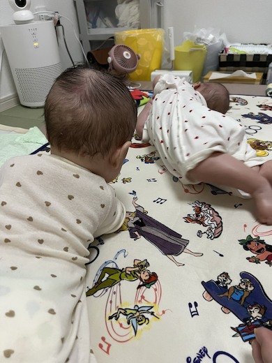 双子の赤ちゃん