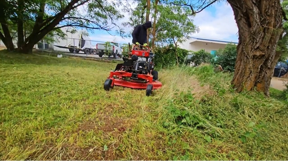 芝生管理　ビフォーアフター