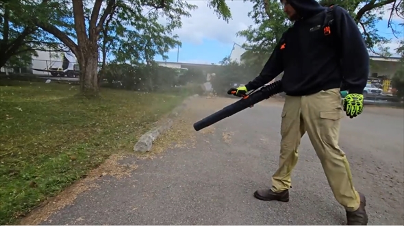 芝生管理　ビフォーアフター