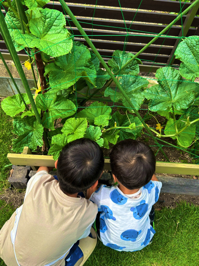 お兄ちゃんたち