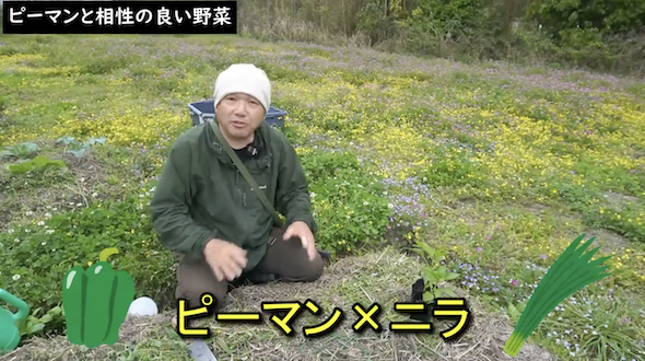 ニラの説明