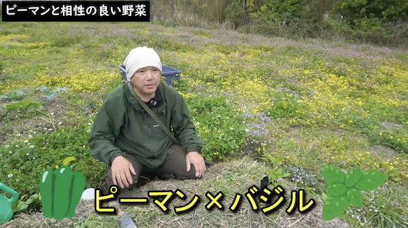 バジル