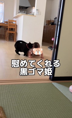 赤ちゃんをあやす猫ちゃん