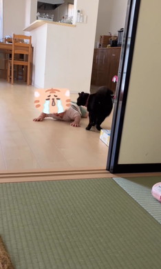 赤ちゃんをあやす猫ちゃん