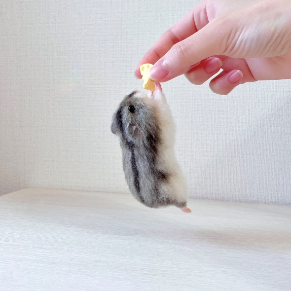 チーズを離さないハムスター