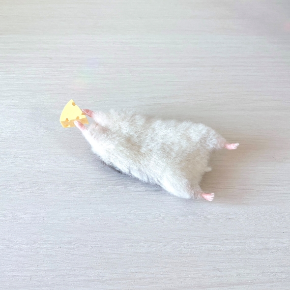 あお向けになったハムスター