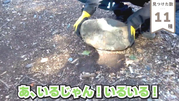 石どける