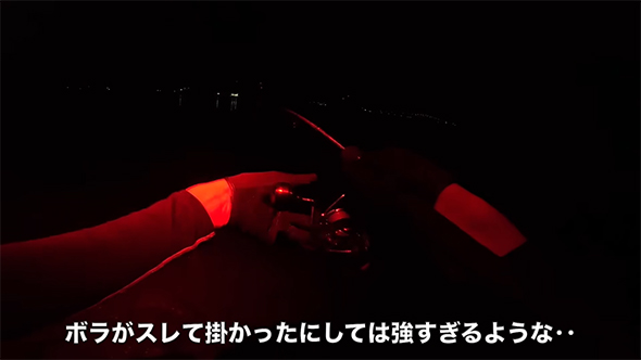 ボラがすれて