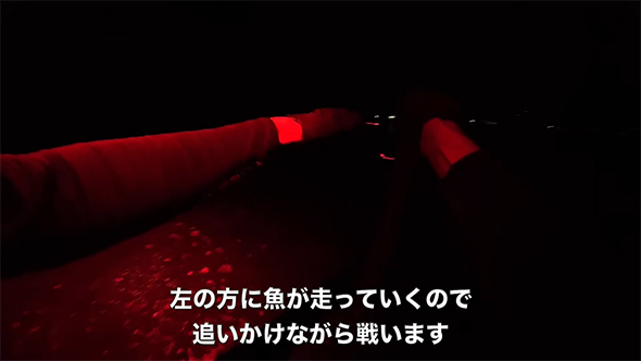 左の方に魚が