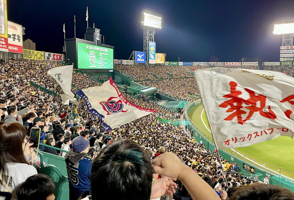 熱気あふれる観戦