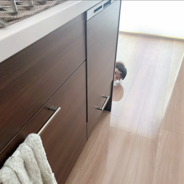 後追いをする赤ちゃん