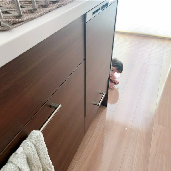 後追いをする赤ちゃん