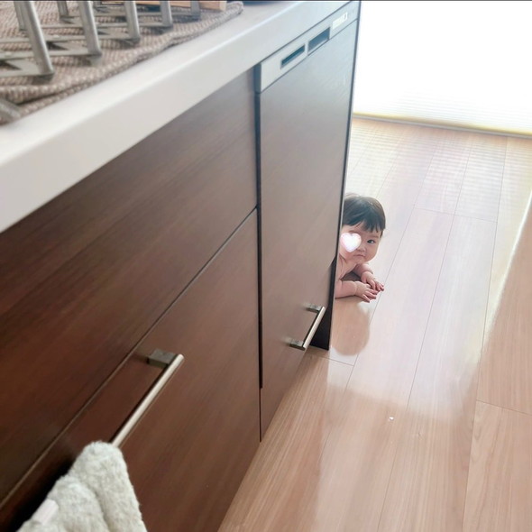 後追いをする赤ちゃん