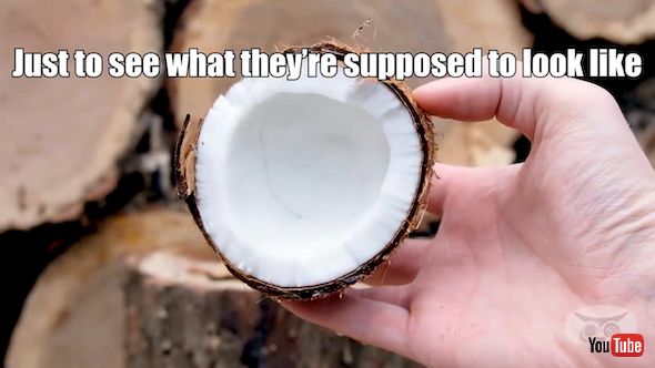 フレッシュなココナッツ