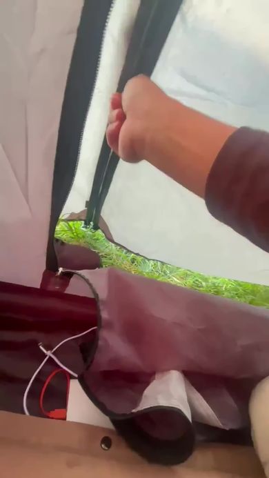 富士高原トマトフィールドで早朝に撮影したテントの中