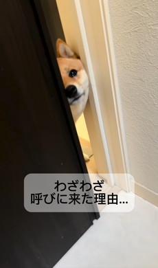 おすすめ