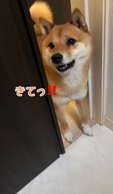 飼い主を呼ぶワンコ