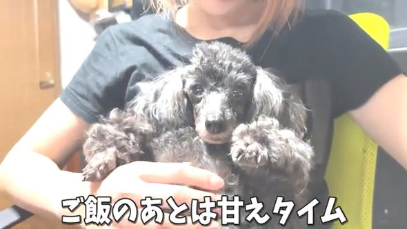 甘えタイム