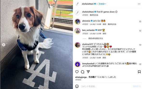 球場のデコピン