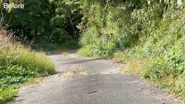 石垣と側溝の清掃