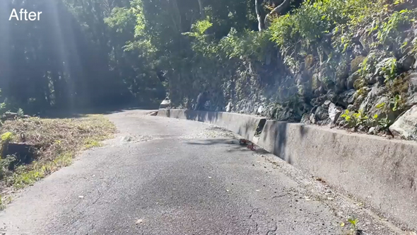 石垣と側溝の清掃