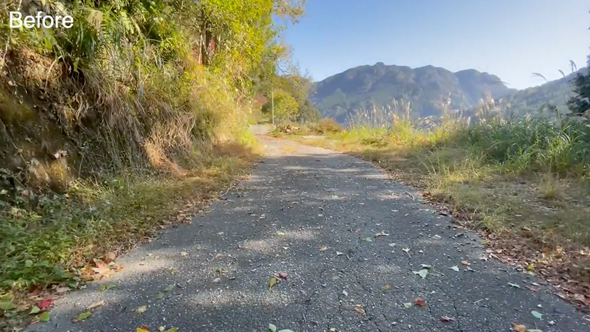 石垣と側溝の清掃