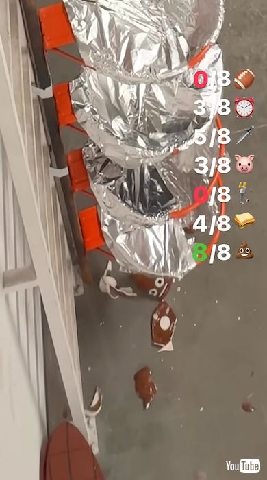 ウンチを落とす