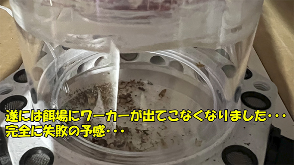 失敗の予感
