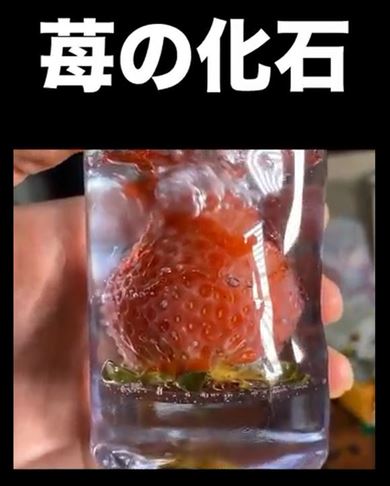 イチゴをレジンで封印