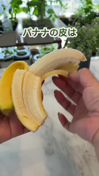 コーヒーかすと卵の殻、バナナの皮を使って天然の肥料を作る様子