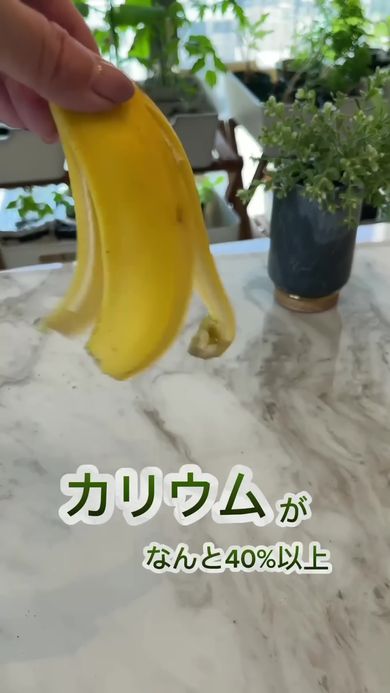 コーヒーかすと卵の殻、バナナの皮を使って天然の肥料を作る様子