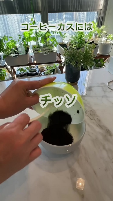 コーヒーかすと卵の殻、バナナの皮を使って天然の肥料を作る様子