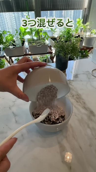 コーヒーかすと卵の殻、バナナの皮を使って天然の肥料を作る様子