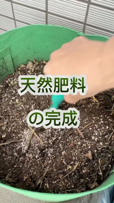 コーヒーかすと卵の殻、バナナの皮を使って天然の肥料を作る様子
