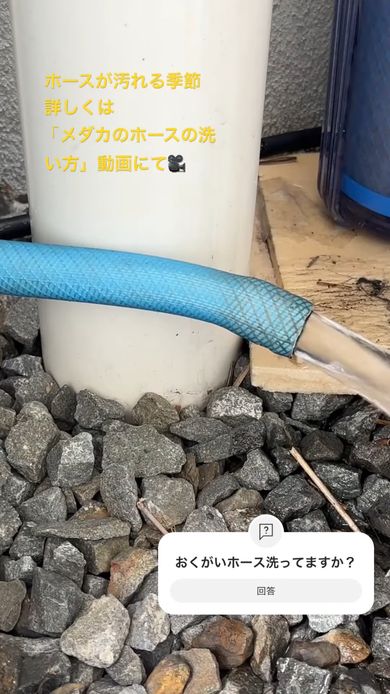 詰めた綿を水で押し流しホースの中を洗浄する様子