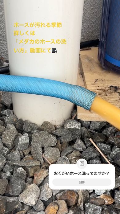 詰めた綿を水で押し流しホースの中を洗浄する様子