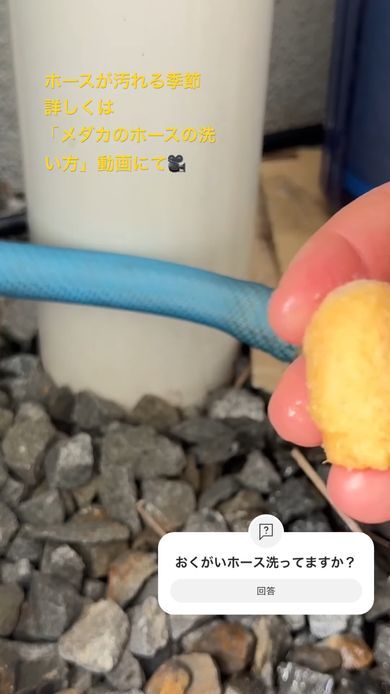 詰めた綿を水で押し流しホースの中を洗浄する様子