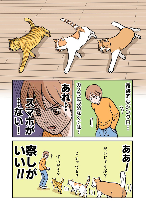 猫 多頭飼い シンクロ ボーナスチャンス 写真 漫画 スマホがない