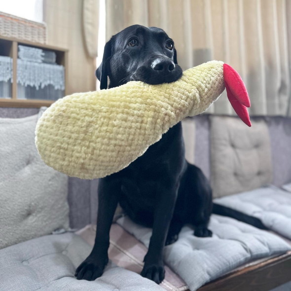 エビフライのぬいぐるみをくわえる黒ラブのワンコ