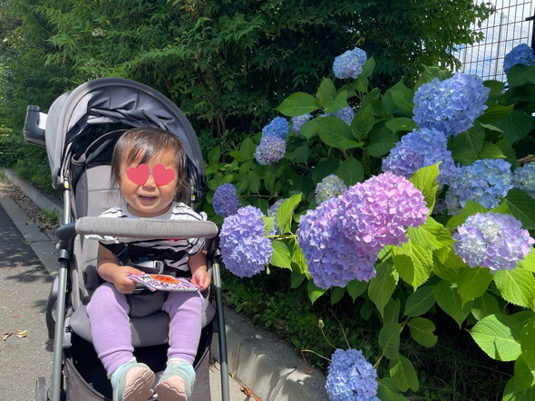 アジサイと一緒に写る女の子の写真